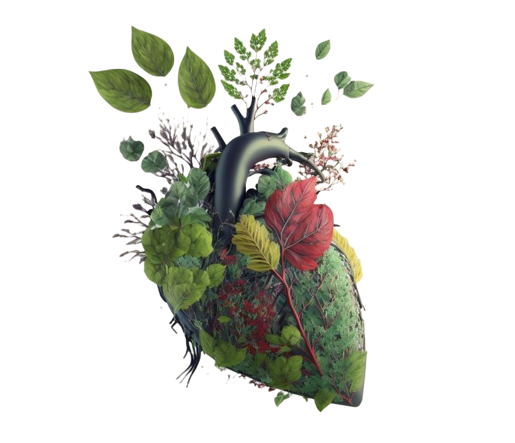 Immagine cuore fatto da piante